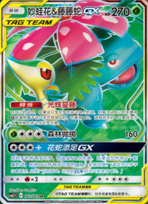Pokemon Simplified Chinese Reshiram & Charizard GX SR 153/150 Full Art Holo Rare